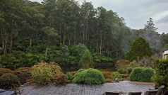 aPujYLt0Lztm2xBK54OpSdYIA0n