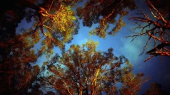 fnYNZhBAQS3U9Doj2NbjIsud0ZR