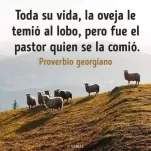 oveja temio al lobo - pastor comio