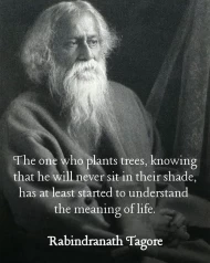 trabaja sin esperar frutos