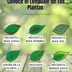 Infografias